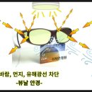 밝은스타안경원 이미지