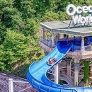 비발디파크오션월드 이미지