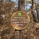 섬진마을주차장 대 | 전북 순창 채계산, 남원 책여산 1