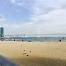 광안리 - 종로구 | 광안리