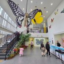 나비공원2(주차장) 이미지