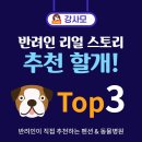 안단테 동물의료센터 이미지