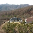 TP공인중개사사무소 이미지