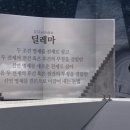 딜레마룸