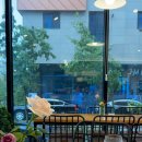 이서 컴퍼니 이미지