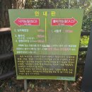 황우지해안열두굴 | 혼자 제주여행 코스 추천 서귀포 외돌개부터 황우지선녀탕까지 고요한 바다 산책
