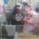 프로펫애견샵 이미지