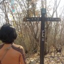 섬 | 통영 비진도 선유봉 섬산행 등산코스 섬 트레킹 후기