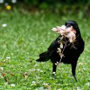 영어와 Craft 이미지