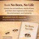 No Bees, No Life 이미지