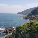 용호동 섶자리 이미지