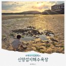 신양A | 제주도 해수욕장 추천 일몰 명소, 신양섭지해수욕장