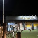 아이러브마이독 | 늦게까지 하는 애견카페 경기 광주 아이러브마이독