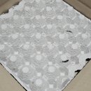 쥴리앤벨라 이미지