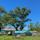 스타빌 | 제주 스타빌 후기2탄 | 내돈내산 수영장, BBQ 바베큐, 별자리 관측까지 다해본 후기