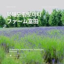 상순목장 | 9.아이와 훗카이도여행, 보라색 카펫을 펼친듯한 라벤더의 매력, 후라노 팜 토미타