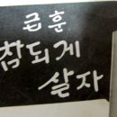 거진초등학교 이미지