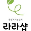 라라샵송정역점