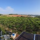 정도농장 이미지