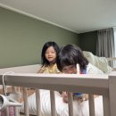 채은153