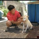 소망애견 이미지