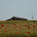 천북목장 이미지