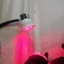 혁신오케이정형외과의원 | 한달 넘게 아팠던 다리, 하루만에 치유되다. ＊내돈내산