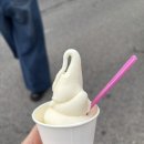 동두천락페스티벌 | 2025동두천락페스티벌 후기