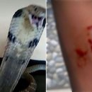 뷰티반려문화 이미지