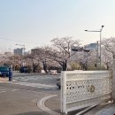 외계인키친 이미지