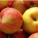 사과마을식당 이미지