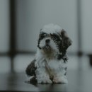 계양SKY동물메디컬센터 이미지