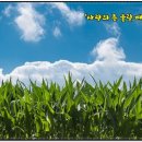 사랑의종