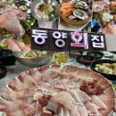 동양초장 | 포항 죽도시장 방어맛집으로 알려진 동양횟집