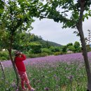 동행 68. (순천 가야정원 - 와온해변) 이미지