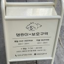댕린이 보호구역 이미지