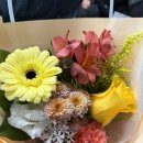 (주)퍼니버섯 이미지