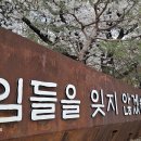 국립서울현충원 수양벚꽃 영상 이미지