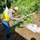 제천시자원봉사센터, “닭장 철거하고 둑 쌓고” 덕산서 수해복구로 땀범벅 이미지
