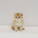 남구-037 이미지