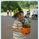 대건유치원 이미지