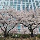 이디야커피 부산온천천점