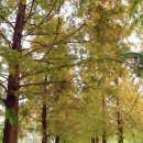 [도로]일월공원 주차장2 | 수원 공원 추천 일월저수지 둘레길 나들이 단풍 시작