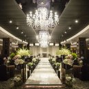 웨딩프로포즈 이미지