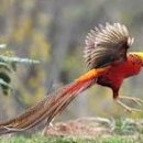 대곡2리마을회관 이미지