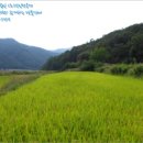 여주-1063 이미지