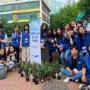 동답초교 이미지