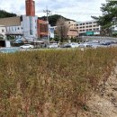 상망동행정복지센터 이미지