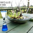꽃향기바다소리