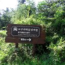 구리둘레길(1코스) 이미지